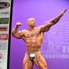 Thomas  Benagli - IFBB New York Pro 2013 - #1