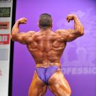 Vincente  Santamaria Martinez - IFBB New York Pro 2013 - #1