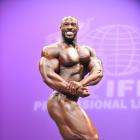 Darron  Glenn - IFBB New York Pro 2013 - #1