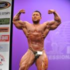 An  Nguyen - IFBB New York Pro 2013 - #1