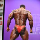 Clarence   DeVis - IFBB New York Pro 2013 - #1