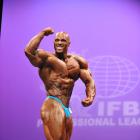 Juan  Morel - IFBB New York Pro 2013 - #1