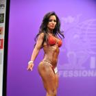 Yeshaira  Robles - IFBB New York Pro 2013 - #1