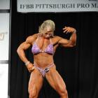 Michelle  Brent - IFBB Pittsburgh Pro Masters  2014 - #1