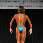 Abby  Kranitz - IFBB North American Championships 2014 - #1