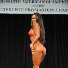 Kristen  Moffett - IFBB Pittsburgh Pro Masters  2014 - #1