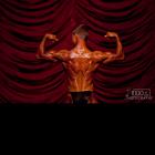 Aaron  Worthington - NPC Natural Indiana 2012 - #1