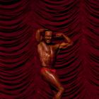 Howard  Stanford - NPC Natural Indiana 2012 - #1