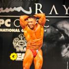 David  Shutler - NPC Shawn Ray Classic 2013 - #1