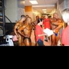 NPC Shawn Ray Classic 2013 - #1