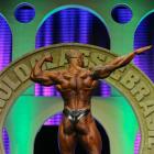 Julio  Balestrin - IFBB Arnold Brasil  2014 - #1