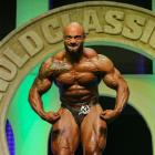 Julio  Balestrin - IFBB Arnold Brasil  2014 - #1