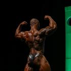 Julio  Balestrin - IFBB Arnold Brasil  2014 - #1