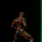 Julio  Balestrin - IFBB Arnold Brasil  2014 - #1