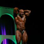 Julio  Balestrin - IFBB Arnold Brasil  2014 - #1