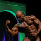 Julio  Balestrin - IFBB Arnold Brasil  2014 - #1