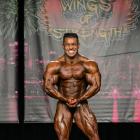 Fernando    Noronha De Almeida - IFBB Wings of Strength Chicago Pro 2014 - #1