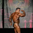 Fernando    Noronha De Almeida - IFBB Wings of Strength Chicago Pro 2014 - #1