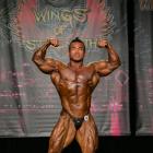 Hidetada  Yamagishi - IFBB Wings of Strength Chicago Pro 2014 - #1