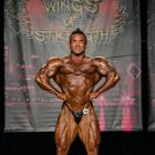 Hidetada  Yamagishi - IFBB Wings of Strength Chicago Pro 2014 - #1