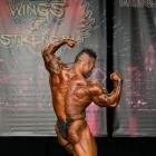 Hidetada  Yamagishi - IFBB Wings of Strength Chicago Pro 2014 - #1