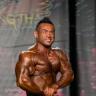 Hidetada  Yamagishi - IFBB Wings of Strength Chicago Pro 2014 - #1