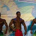 Rodrigo  Barbosa de Oliveira - IFBB Arnold Amateur Brasil 2014 - #1