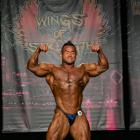 Hidetada  Yamagishi - IFBB Wings of Strength Chicago Pro 2014 - #1