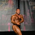 Hidetada  Yamagishi - IFBB Wings of Strength Chicago Pro 2014 - #1