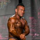 Hidetada  Yamagishi - IFBB Wings of Strength Chicago Pro 2014 - #1