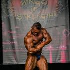 Hidetada  Yamagishi - IFBB Wings of Strength Chicago Pro 2014 - #1