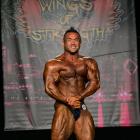 Hidetada  Yamagishi - IFBB Wings of Strength Chicago Pro 2014 - #1