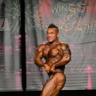 Hidetada  Yamagishi - IFBB Wings of Strength Chicago Pro 2014 - #1