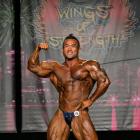 Hidetada  Yamagishi - IFBB Wings of Strength Chicago Pro 2014 - #1