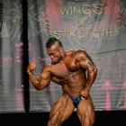 Hidetada  Yamagishi - IFBB Wings of Strength Chicago Pro 2014 - #1