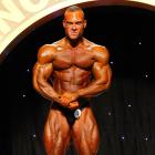 Roman  Fritz - IFBB Arnold Classic Asia 2016 - #1