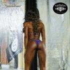 Sandi  Forsythe - IFBB St Louis Pro Figure & Bikini 2014 - #1