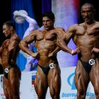 Anderson  Ramos - IFBB Arnold Amateur 2014 - #1