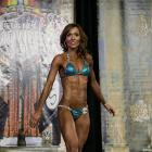 Patricia  Higgins - NPC Midwest Championship 2014 - #1