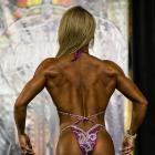 Krista  Dunn - IFBB St Louis Pro Figure & Bikini 2014 - #1