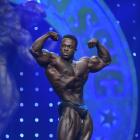 Terrance  Ruffin - IFBB Arnold Classic 2020 - #1