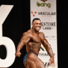 Justin  Rodriguez - IFBB New York Pro 2019 - #1