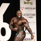 Akim  Williams - IFBB New York Pro 2019 - #1