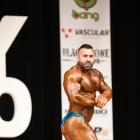 Pasquale  D'Angelo - IFBB New York Pro 2019 - #1