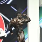 Terrance  Ruffin - IFBB Olympia 2021 - #1