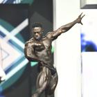 Terrance  Ruffin - IFBB Olympia 2021 - #1