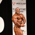 Ahmad  Ashkanani - IFBB New York Pro 2019 - #1