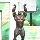 Akim  Williams - IFBB Olympia 2021 - #1