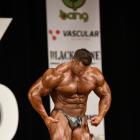 Tim  Budesheim - IFBB New York Pro 2019 - #1