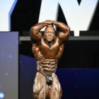 Shawn  Rhoden - IFBB Olympia 2018 - #1